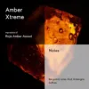 Amber Xtreme – Impression of Roja Amber Aoud