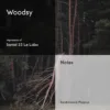 Woodsy – Impression of Santal 33 Le Labo