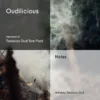 Oudilicious – Impression of Tobacco Oud Tom Ford