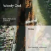 Woody Oud – Impression of Oud Wood by Tom Ford