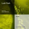 Lush Pash – Impression of David Beckham