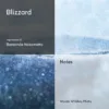 Blizzard – Impression of Baraonda by Nasomatto
