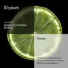 Elysium — Impression of Elysium Pour Homme by Roja