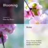 Blooming notes