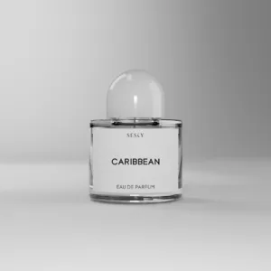 Caribbean - Impression Of Nautica Voyage