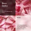 Born Sesky - Impression of Delina Parfums de Marly