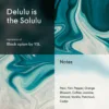 Delulu is the Solulu - Impression of Black Opium by YSL