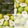 Our_Lil_Secret_notes