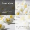 purest_white_notes