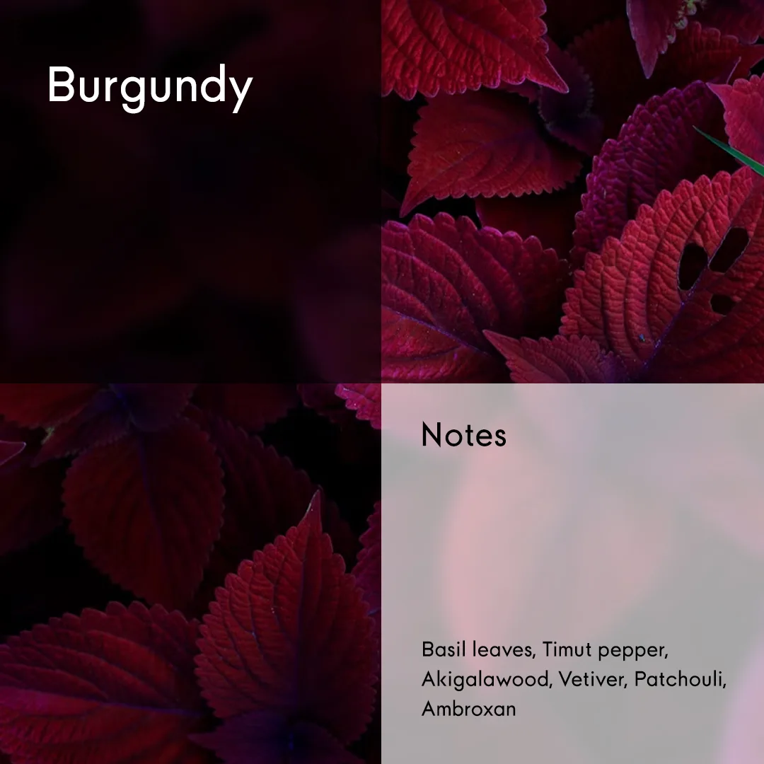 Burgundy